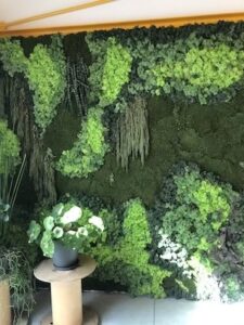Activate your senses: our own unique moss wall
