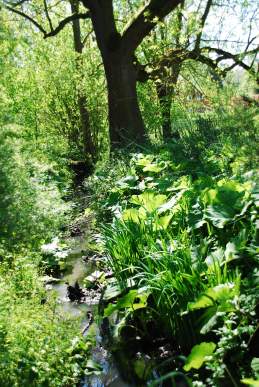 Vergaderlocatie in de natuur aan de beek