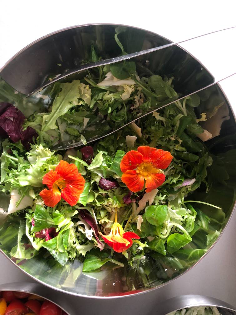 Tarifs location de salle : petite salade avec le lunch sandwiches